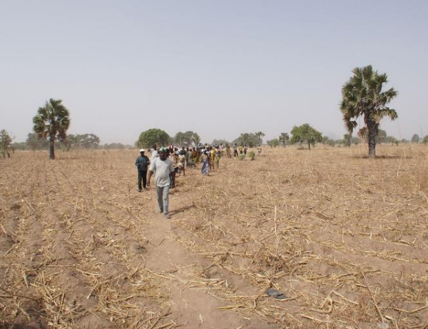 Projet 1 : Préfecture BINAH /TOGO capture d'écran 2025 09 03 150555